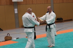 Hanbo_Lehrgang_2016_084